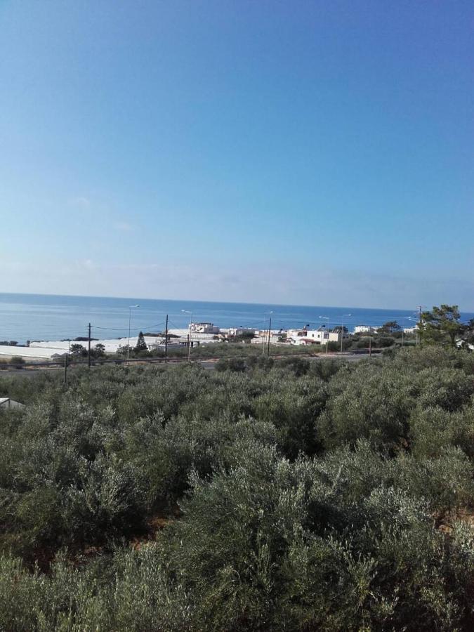 Pericles Traditional Cretan Home Stavrokhorion Dış mekan fotoğraf