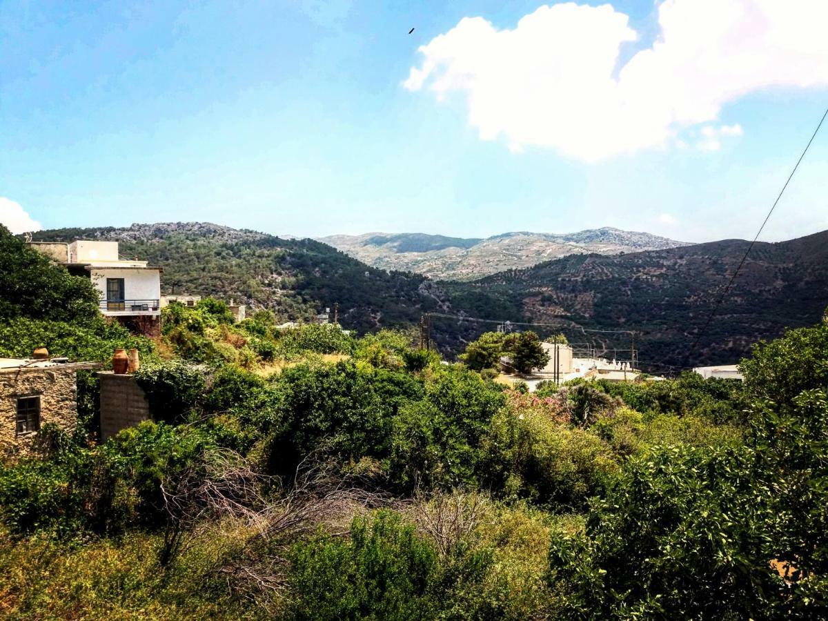 Pericles Traditional Cretan Home Stavrokhorion Dış mekan fotoğraf