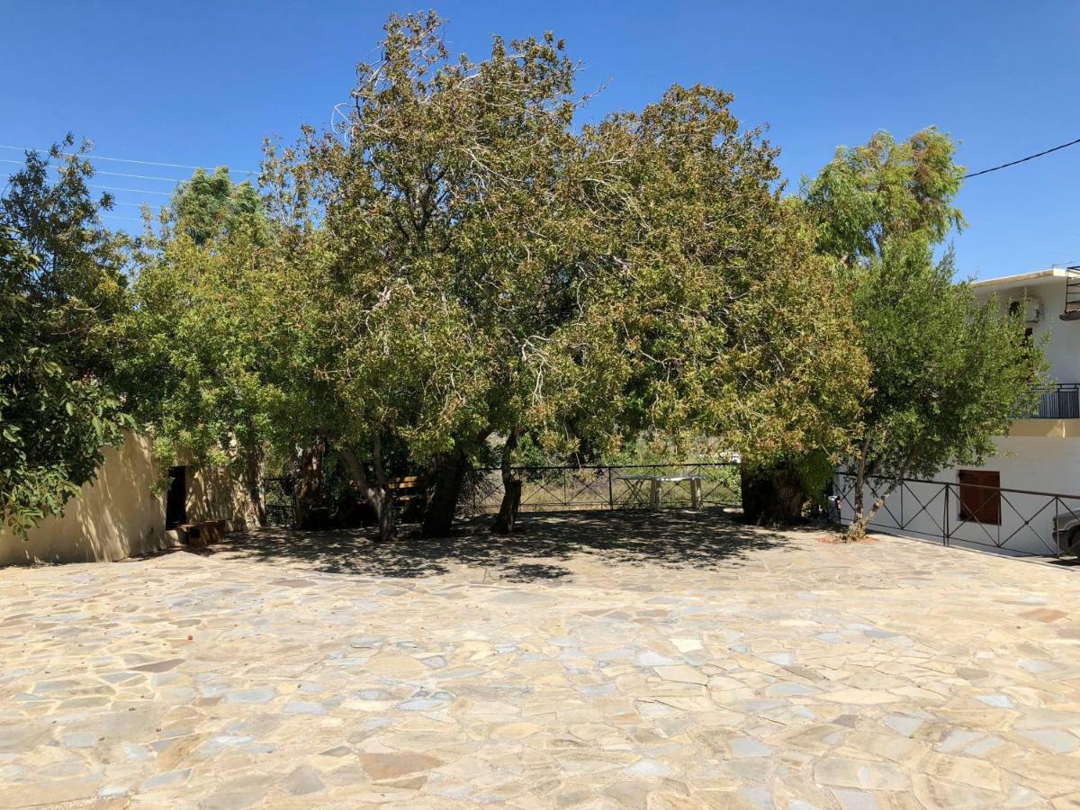 Pericles Traditional Cretan Home Stavrokhorion Dış mekan fotoğraf
